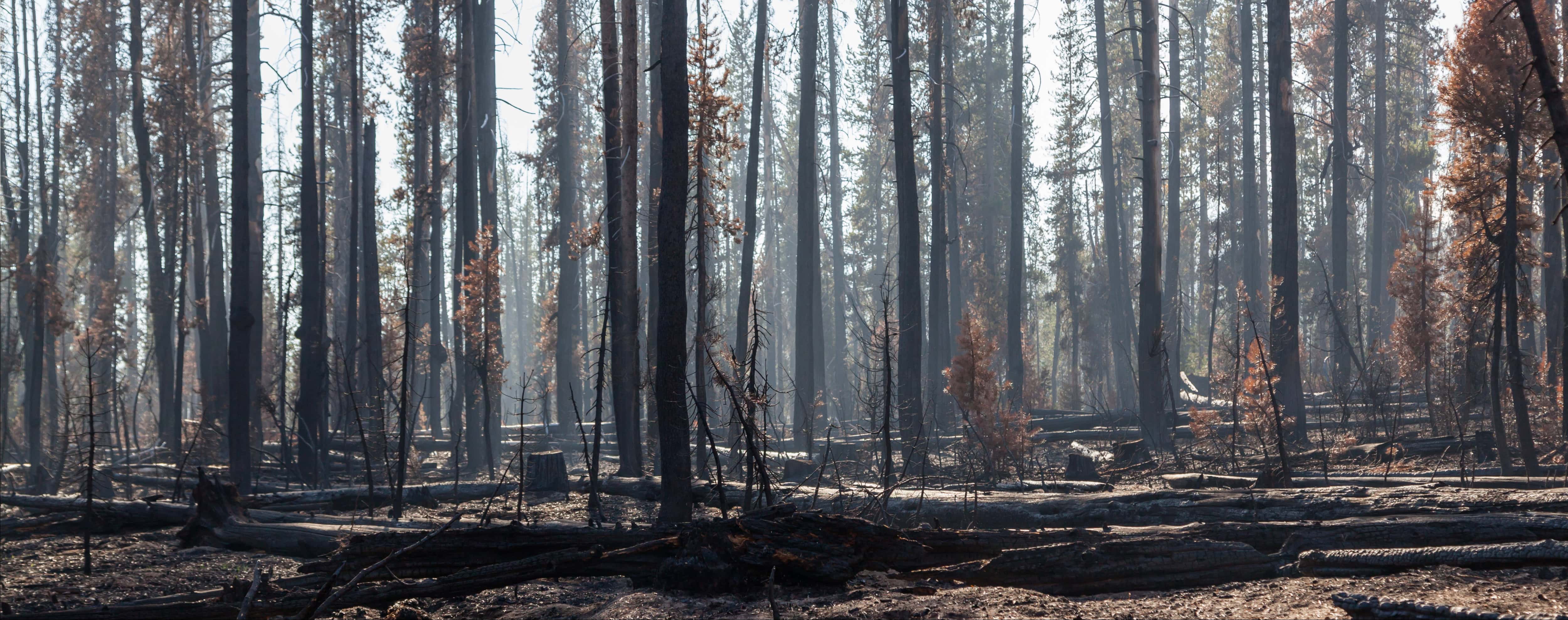 Powder Keg: Staying a Step Ahead in an Unprecedented Wildland Fire Season