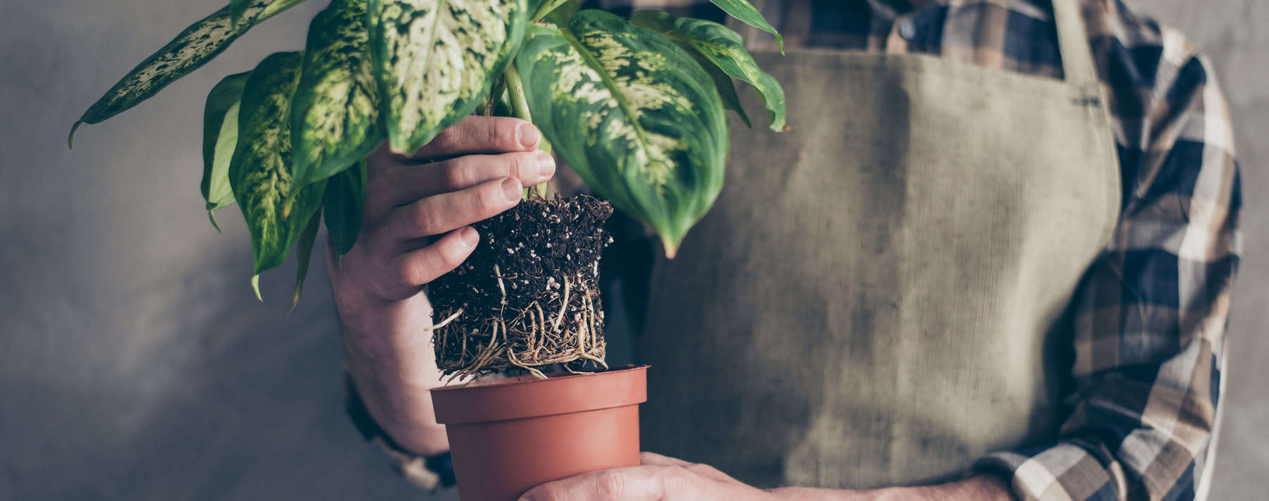 Real Risk Management: Getting to the Root of the Problem