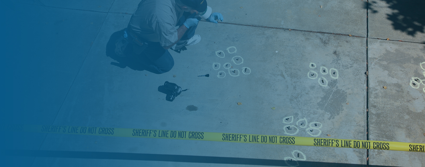 Deadly Connection: Domestic Incidents and Police Ambushes