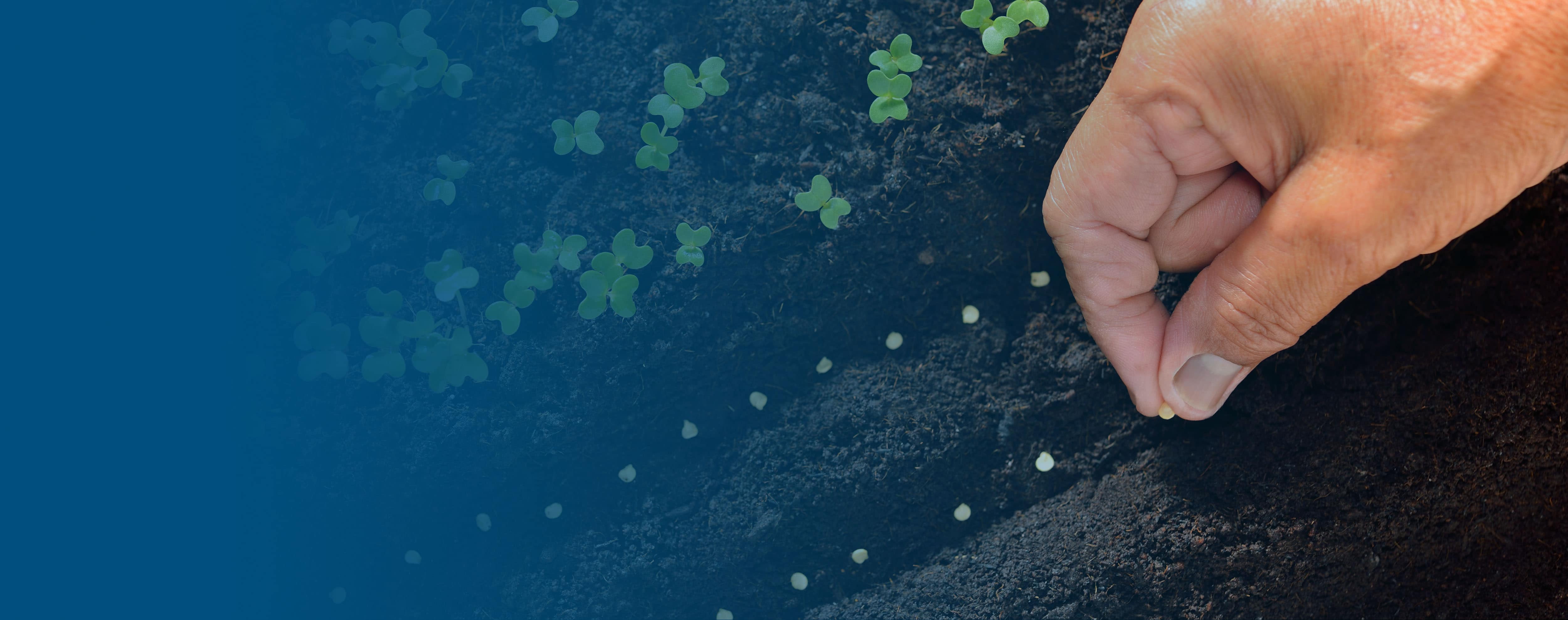 Performance Evaluations for Public Safety: Sowing the Seeds of Risk?