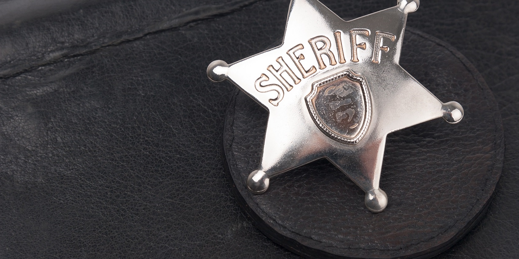 New Sheriff in Town? Advice for the First 100 Days