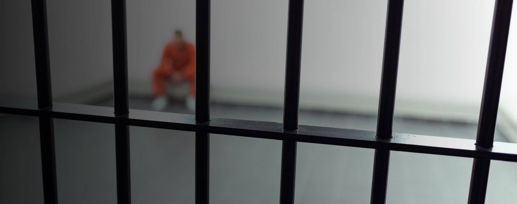 Our Weakest Members: Developmentally Disabled People in the Criminal Justice System