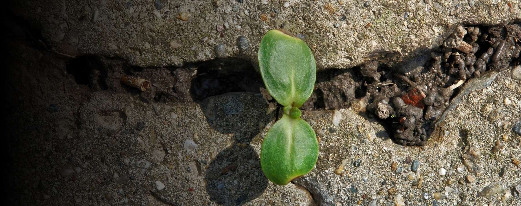 Building a Culture of Resilience in Law Enforcement Starts With Leadership