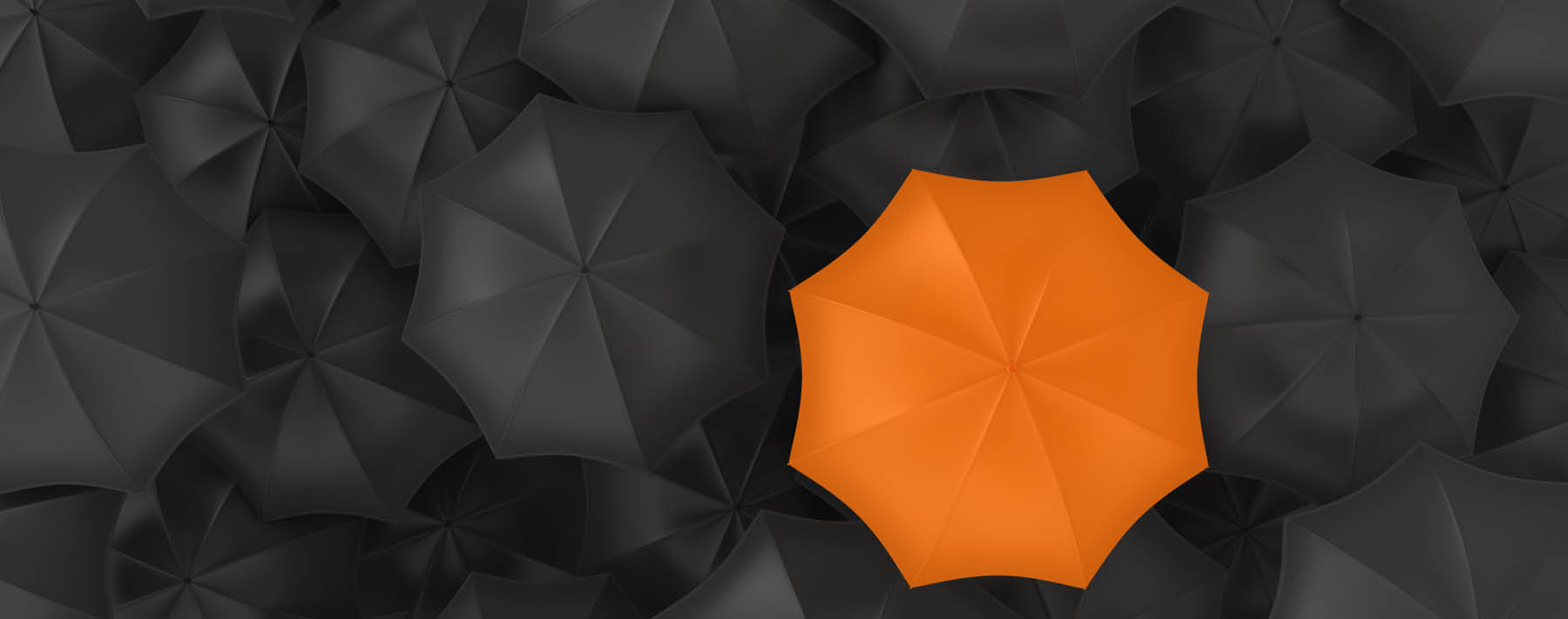 Fancy, Shiny, New—and Dangerous