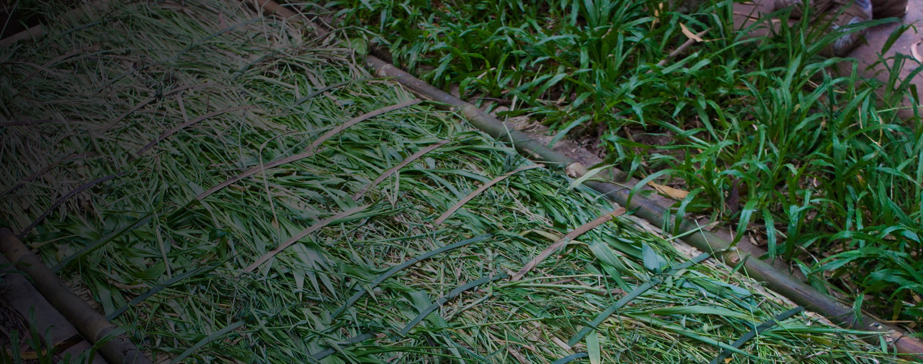 From Punji Pits to Pipe Bombs: Booby Trap Awareness for Police Officers