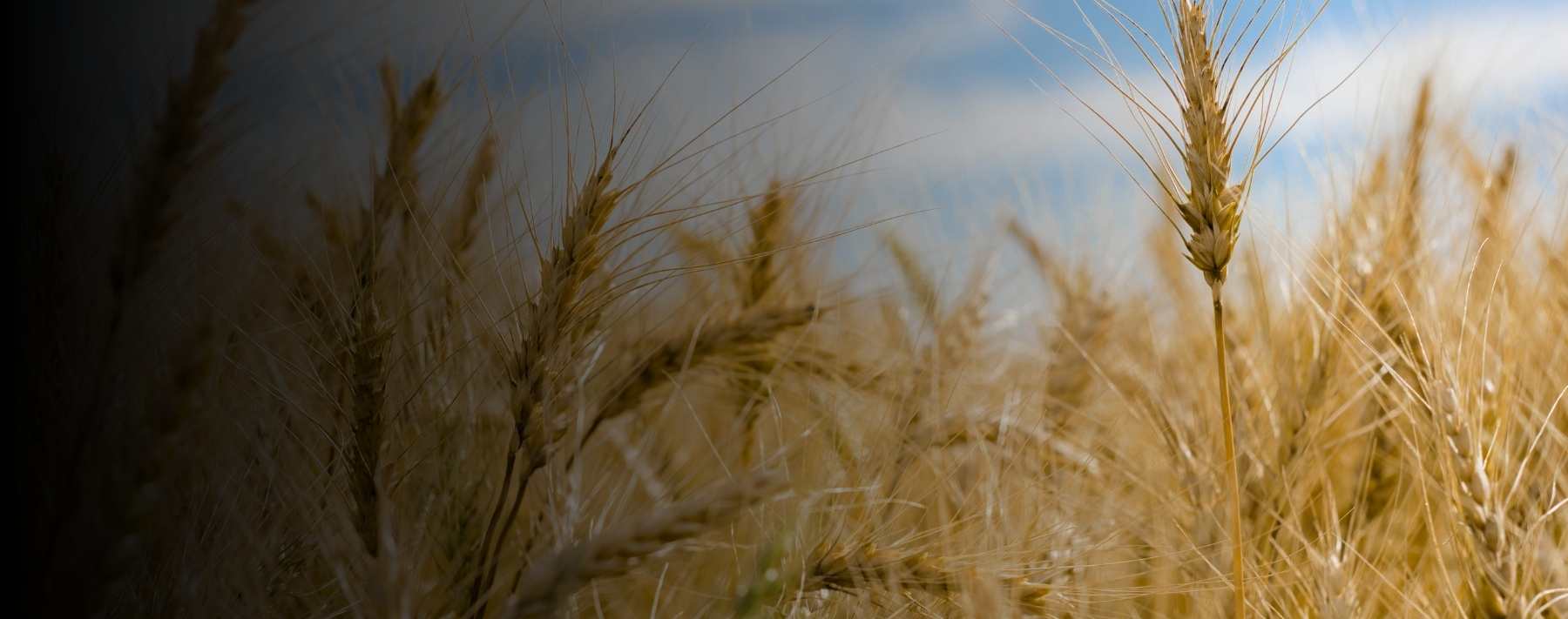 Investigation by the Numbers Supports Valid Search