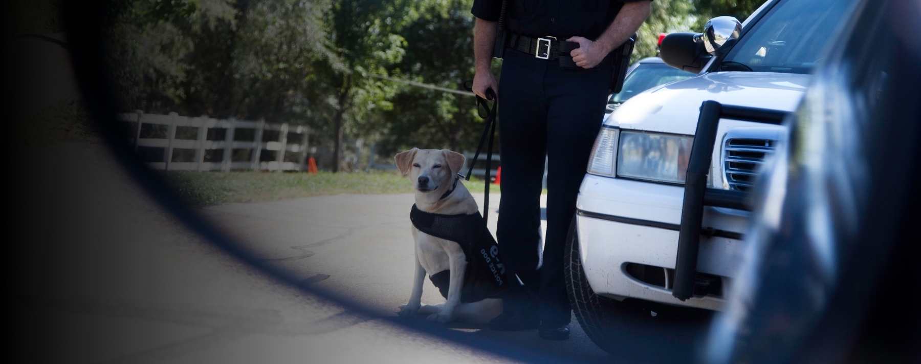 Stop Leads to Voluntary Encounter, Dog Sniff and Drug Seizure