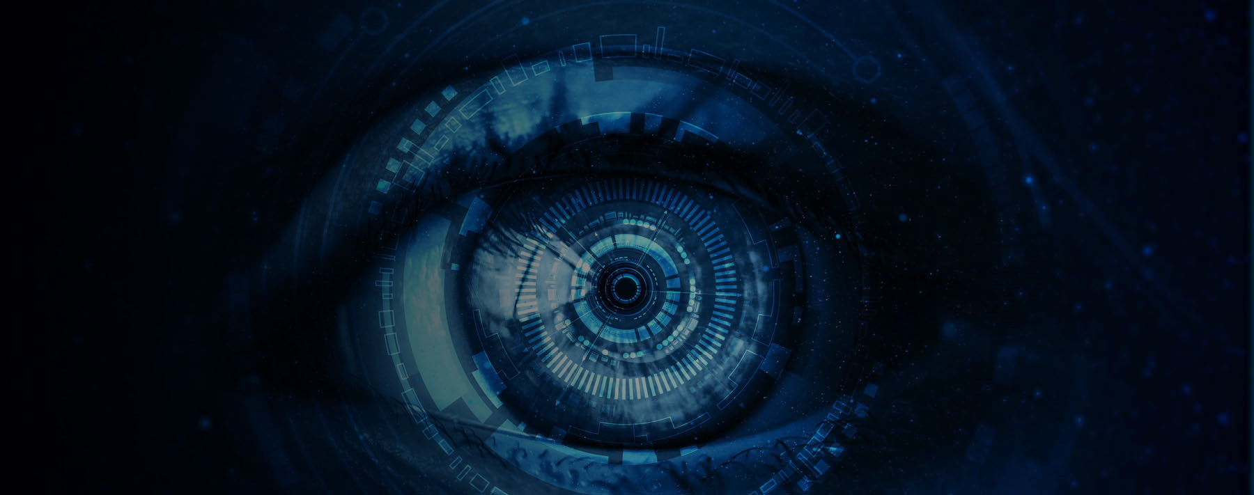 Key Principles of Security Threat Group Intelligence Operations in Jails