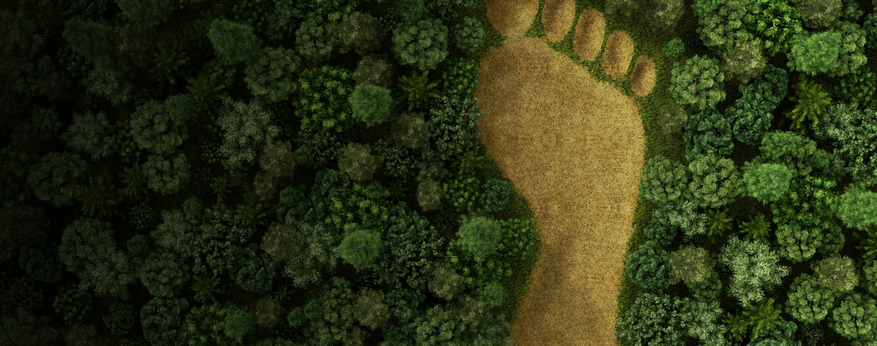 Understanding FEMA’s Environmental and Historic Preservation Review Process