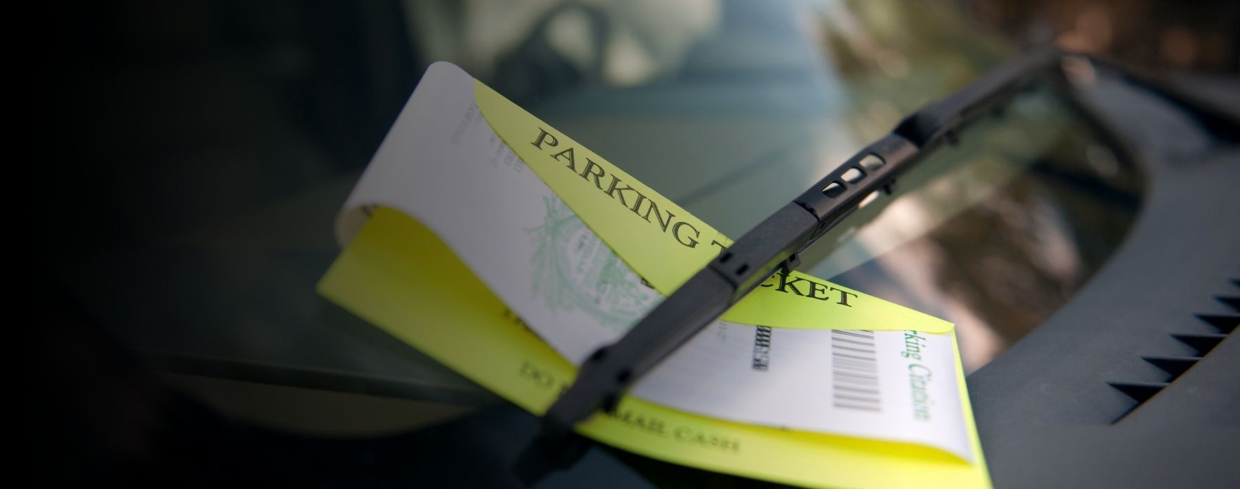 Chalk One Up for Alison Patricia Taylor!