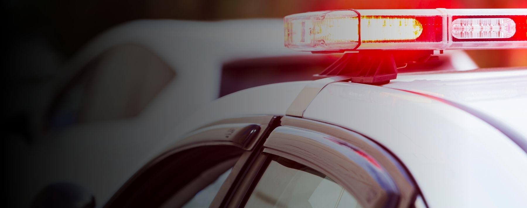 Traffic Stop Extended, but Detention Was Lawful