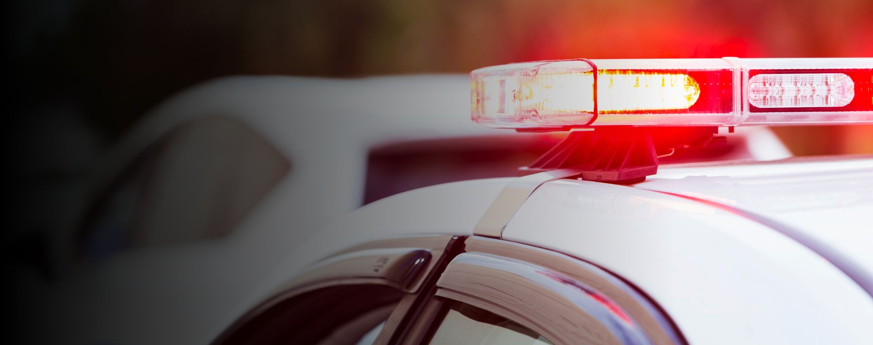 Following Inventory Policy Saves Search