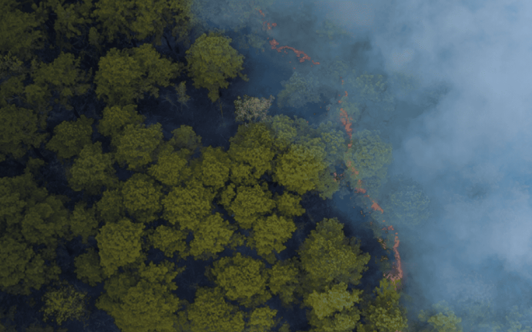 Preparing Your Family for Fire Season