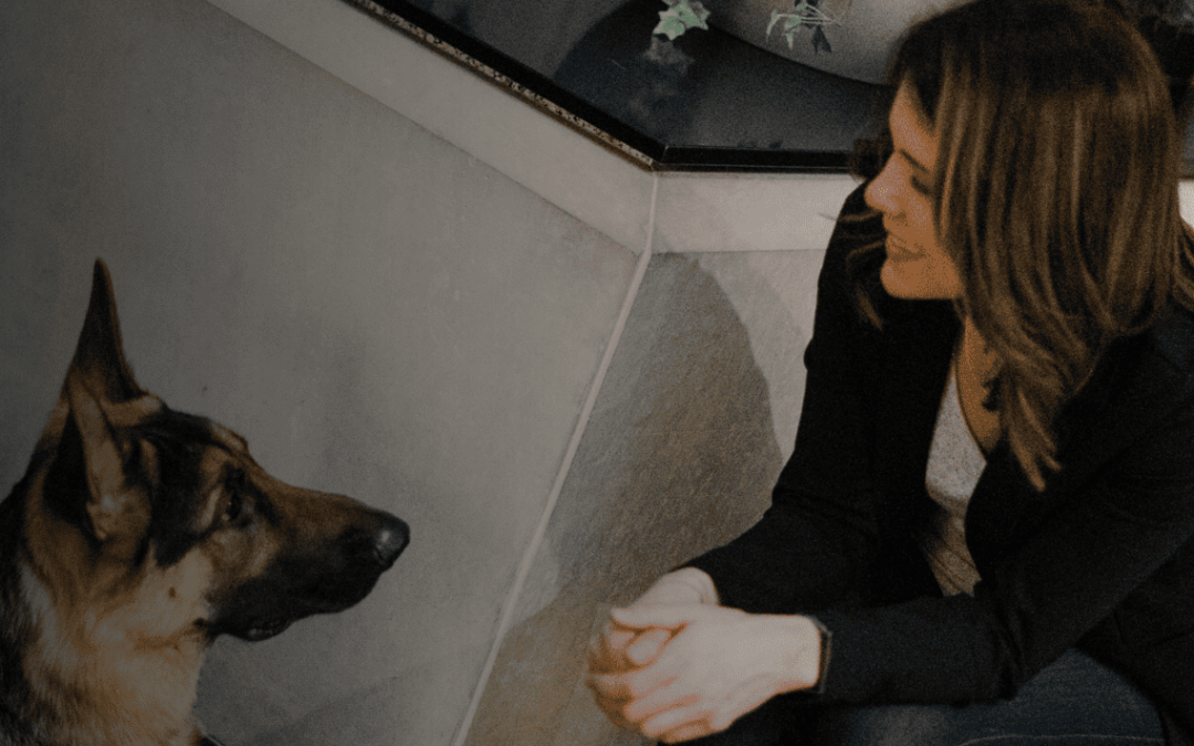 How Therapy Dogs in Public Safety Benefit Personnel, Agencies & Communities