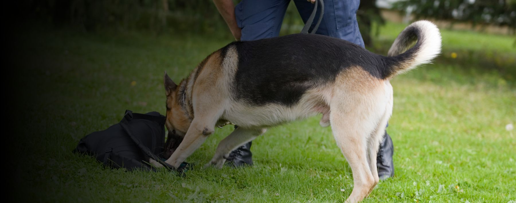 K9 Warnings May (or May Not) Be a Good Idea