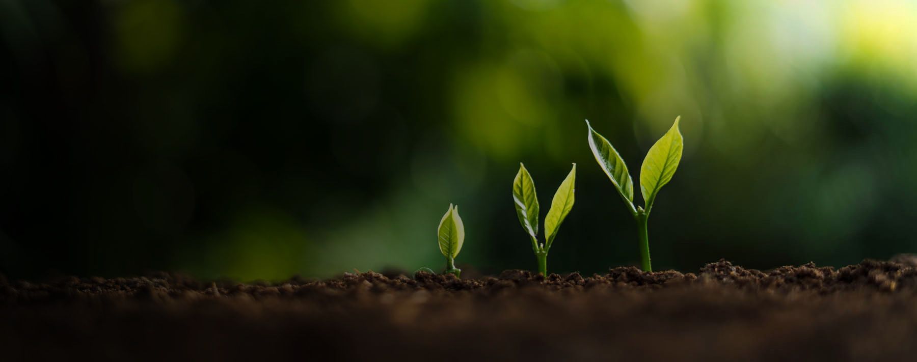 Public Safety Wellness Programs: Helping Employees Thrive