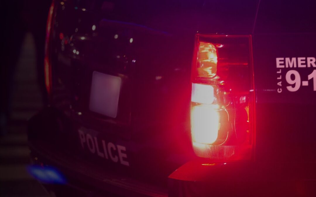 Court Discusses Use of Force Factors in Confronting the Mentally Ill