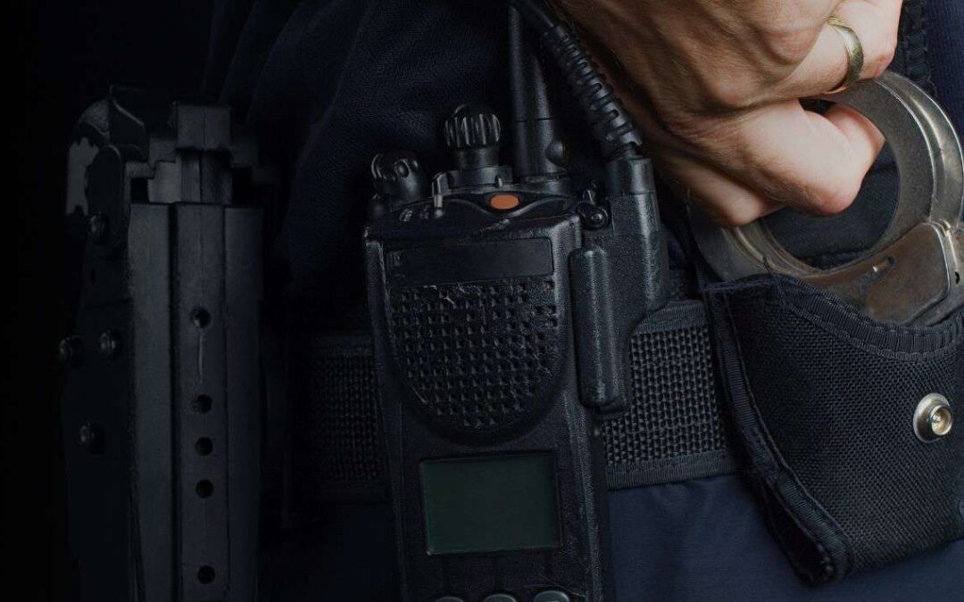 No Liability for Pointing Guns at Suspected Armed Robbers