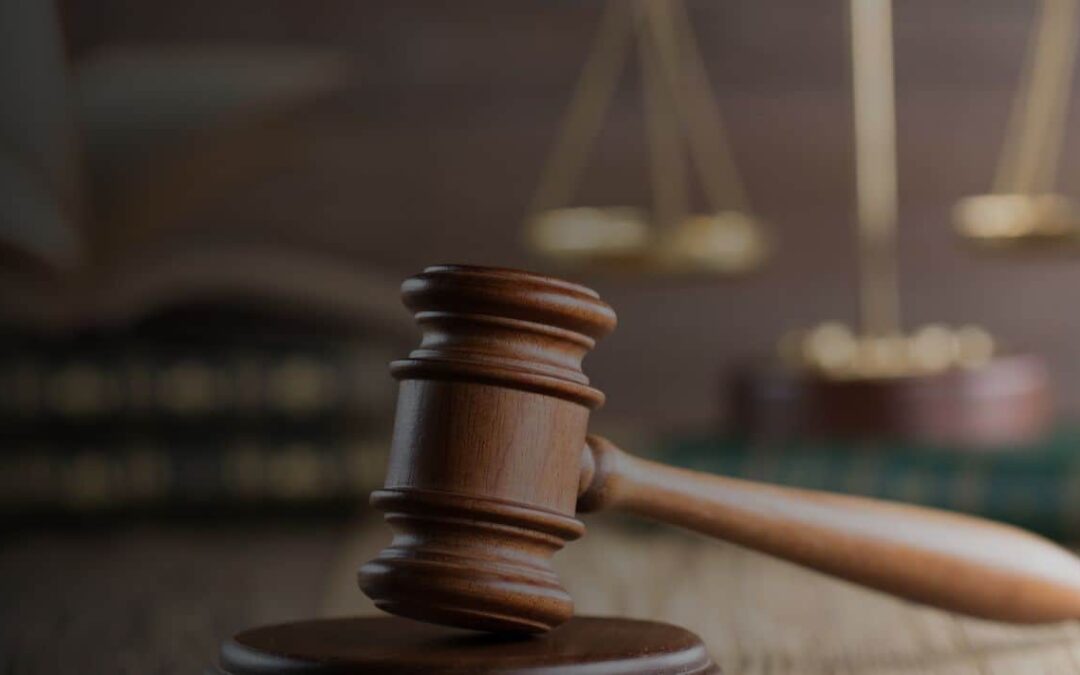 Qualified Immunity for Shooting Dog