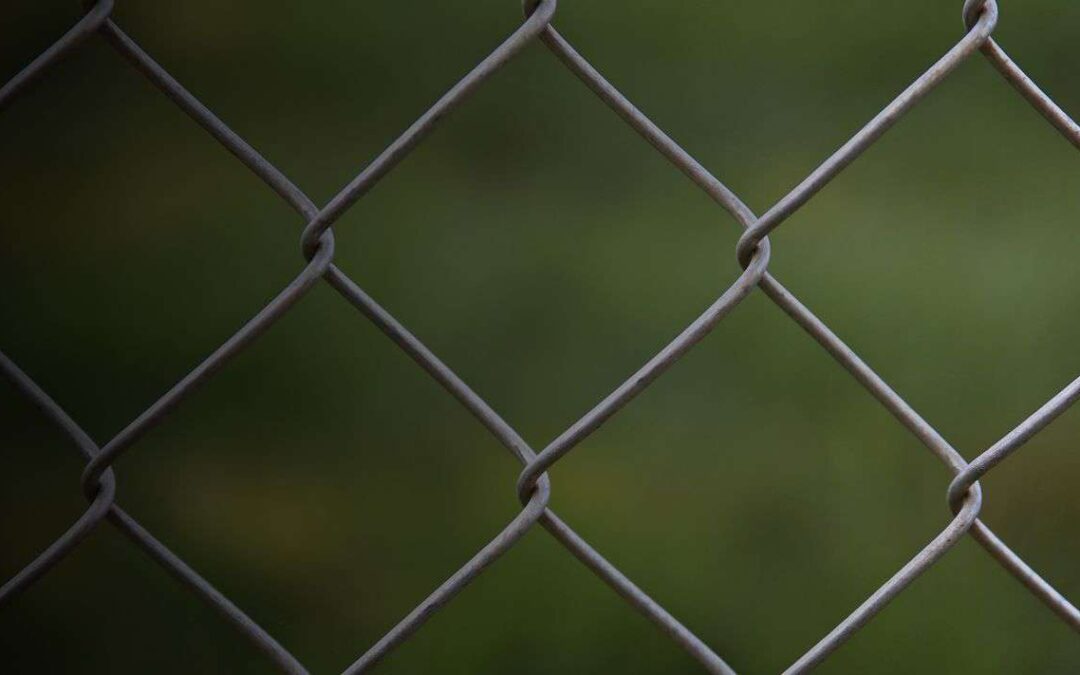 Questionable Entry and Dubious Arrest Defeat Qualified Immunity