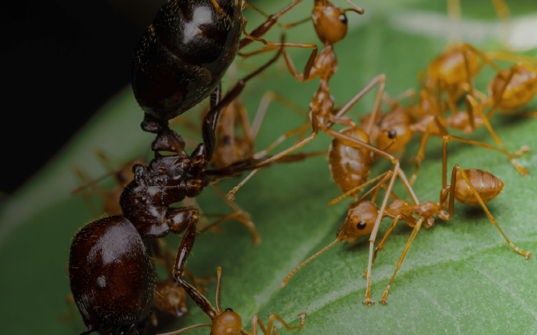 Shaking Things Up as a Fire Service Leader