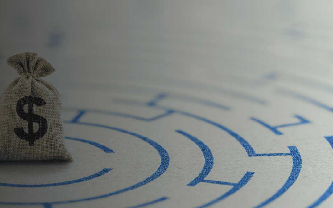 Inside the Mind of Grant Reviewers