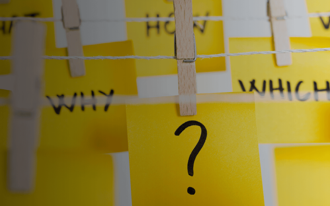 “I Got to Know”: Curiosity Is Essential for Risk Management