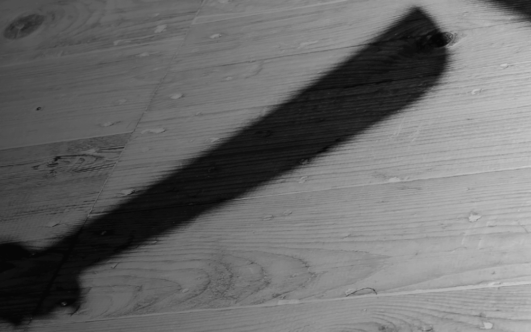 Officer-Created Danger Theory Lives On