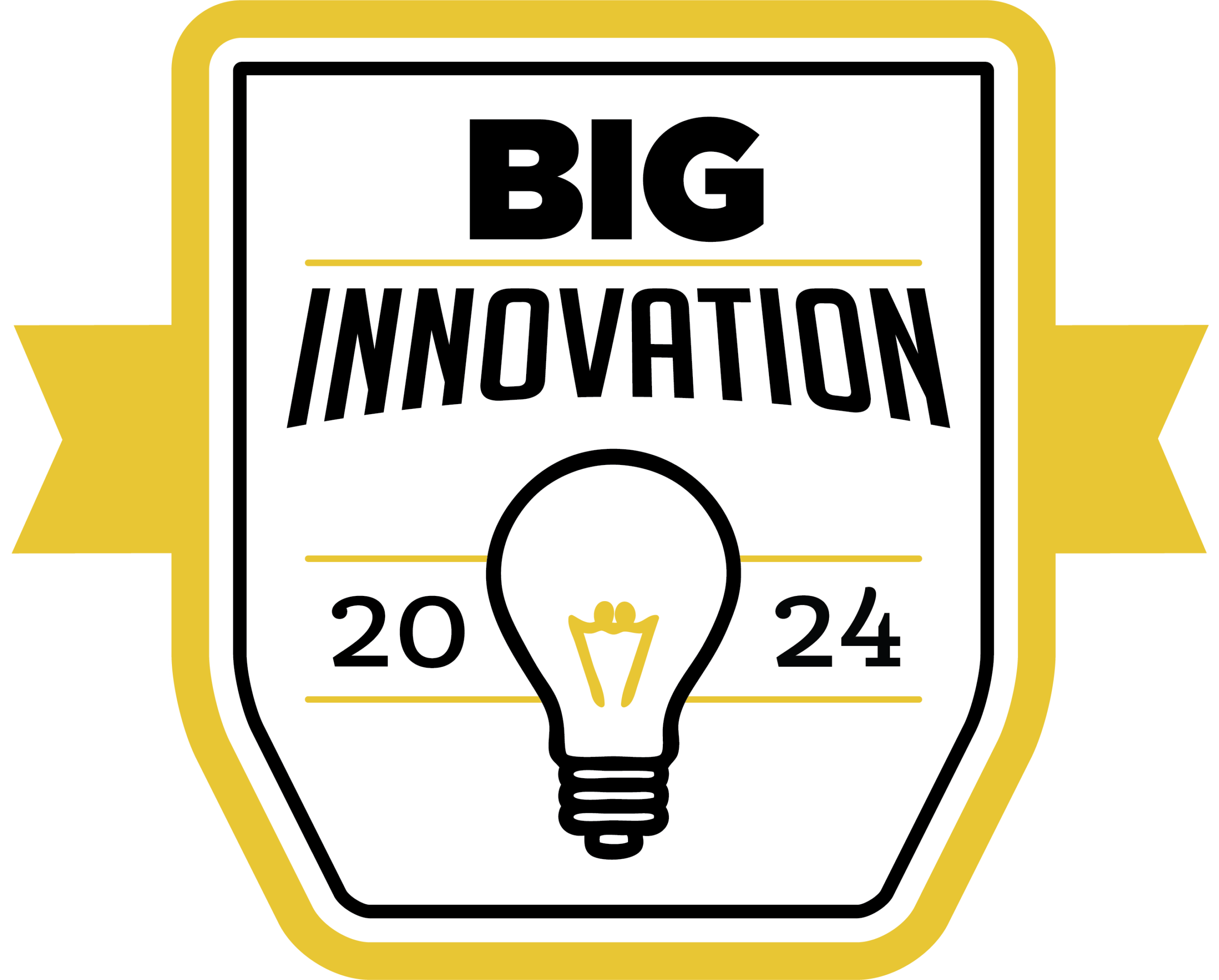 BIG Innovation 2024