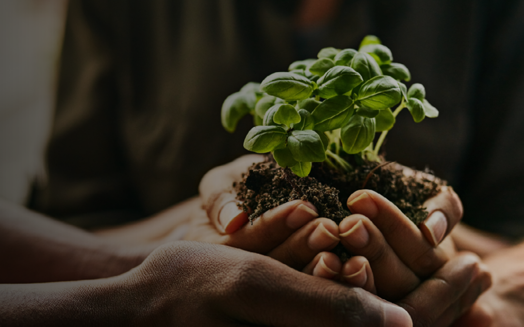 A 50-Year Legacy: How Communities Have Leveraged the Power of the Community Development Block Grant Program (CDBG)