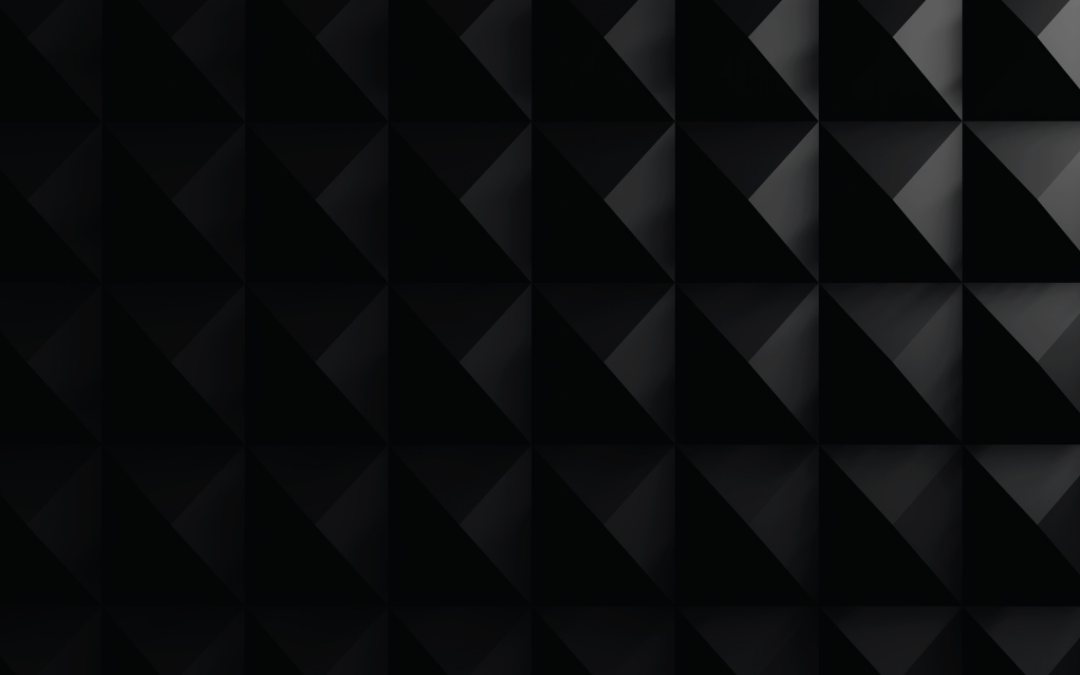 Leadership Lessons from Jocko Willink and Leif Babin