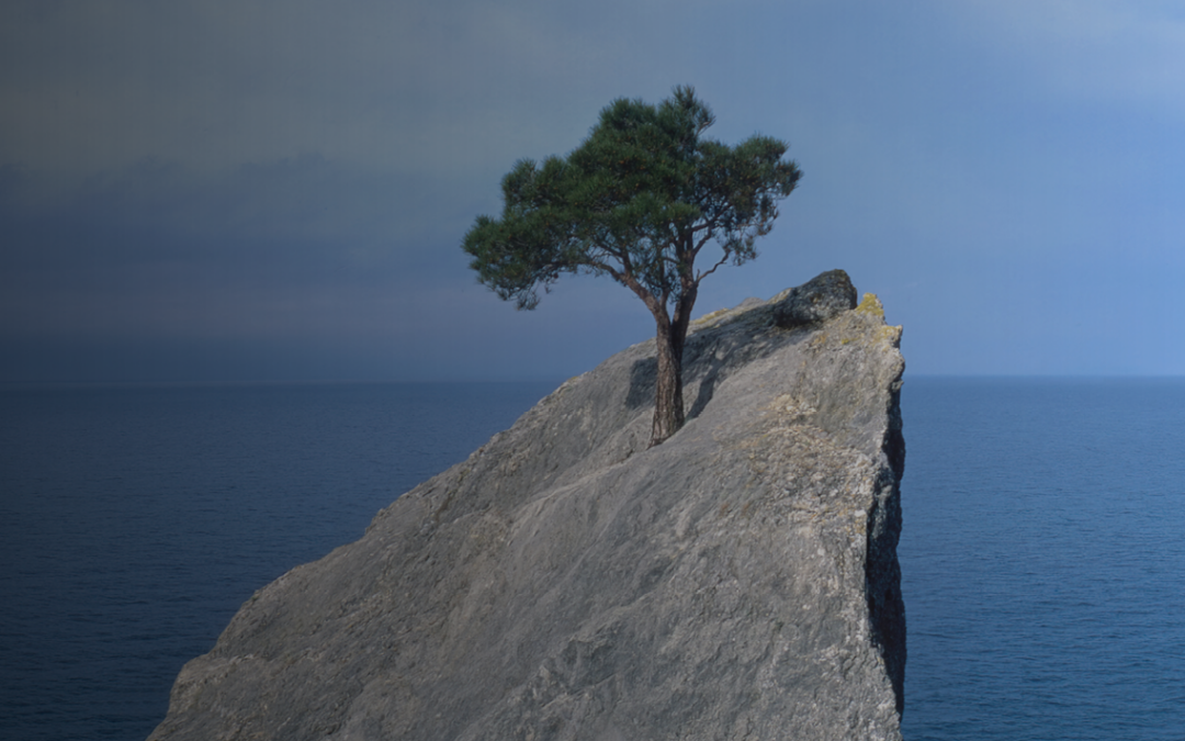 Building Resilience with Healthy Habits for First Responders