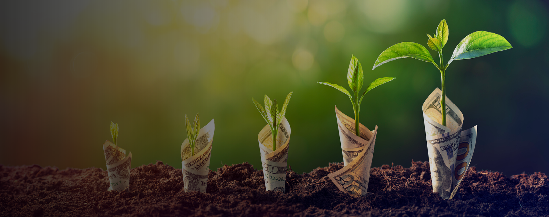 To Plan or Not to Plan — With Grants, an Ounce of Prevention Is Worth a Pound of Cure