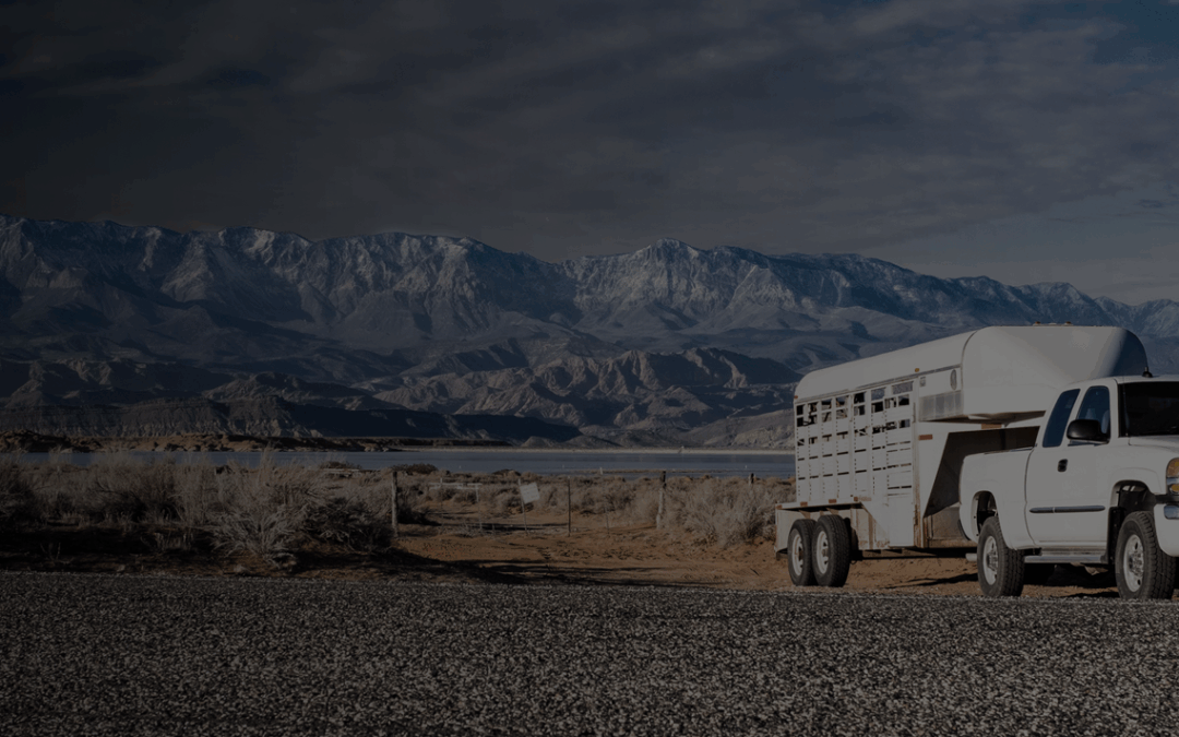 Locked Trailer Raises Questions of Consent and Seizure in Border-Area Stop