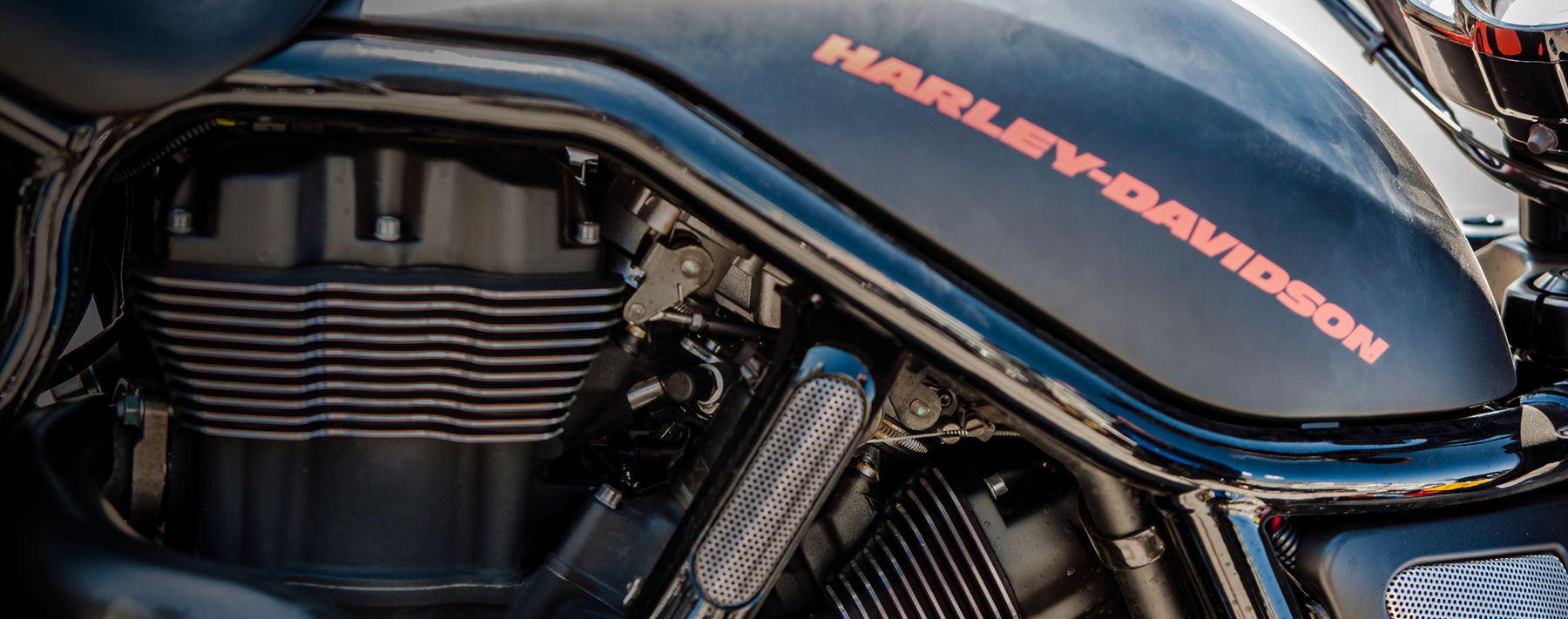 Hoodwinked Officers Not Liable for Entry into Backyard